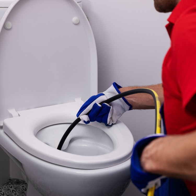 Plumbing services in Lenoir City, TN
